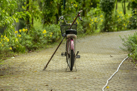 运动车停在公园的旧红色自行车草美丽的图片