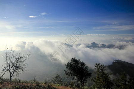 风景晨雾山早爬坡道图片