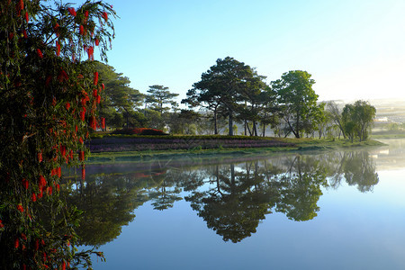 越南的夏令清晨大拉特市ThanThanTho湖的安静平与和风景森林中的松树对水反光让夏季生态旅游变得浪漫和新鲜亚洲图片