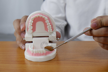 使用牙齿模型工具的牙医图片