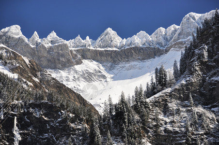 冬日雪景风光图片