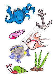 美丽的海居民和洋生物的手风水颜色与世隔绝草图蜗牛图片
