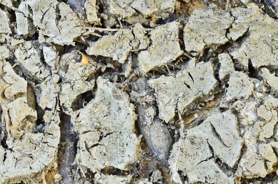 肮脏的泥土热自然环境图片