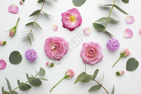 顶视图玫瑰花瓣高分辨率照片质量颜色美丽的夏天图片