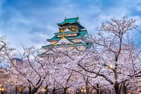 地标旅行日本大阪樱花和城堡桃图片