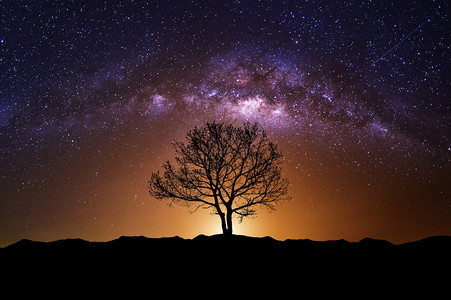 银河和旧树的夜幕木头场景晚图片