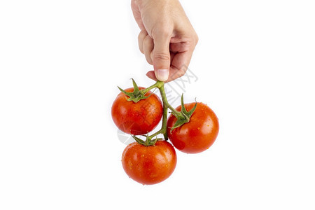 饮食沙拉多汁的手握着红番茄蔬菜孤立在白色背景上图片