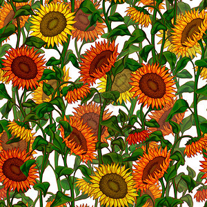 丰富多彩的时尚绘画美向日葵用于织物设计包装纸剪贴布壁等用途的彩色花岗背景和美丽的向日葵图片