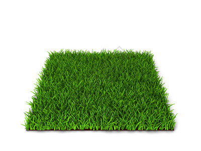 以白色背景孤立的绿草3d插图天图片