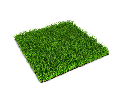 院子以白色背景孤立的绿草3d插图季节植物群图片