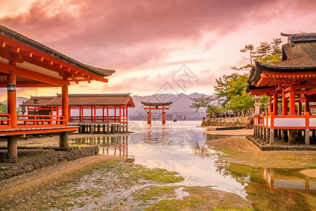 宫岛日本著名的漂浮托里城门日本人历史宗教的图片