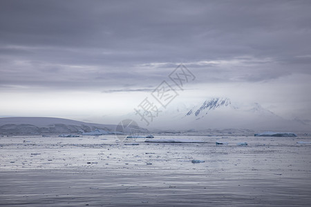 冷若冰霜远的美丽心情照明在南极洲呈现温柔的风景和图片