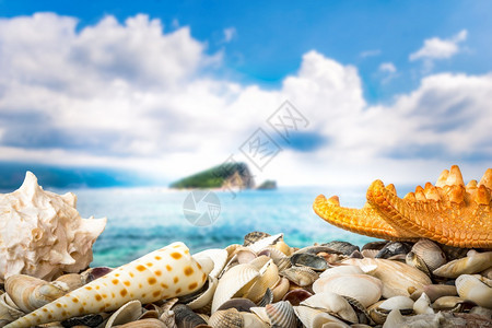 天堂浪漫的Budva黑山Shellbeah和海洋附近域的贝壳滩和悬崖黑山共国图片