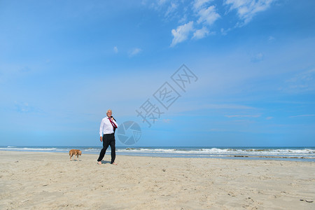 他的宠物动商人穿正规西装在海滩上走狗图片
