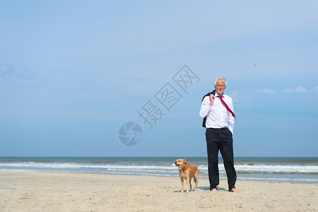 娱乐闲暇商人穿正规西装在海滩上走狗商业图片