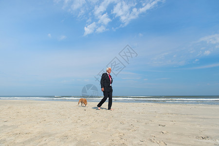 地平线员工商人穿正规西装在海滩上走狗禅图片