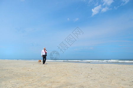 假期荷兰语商人穿正规西装在海滩上走狗图片