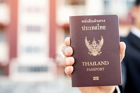 文件为国际旅行者颁发的护照目地图片