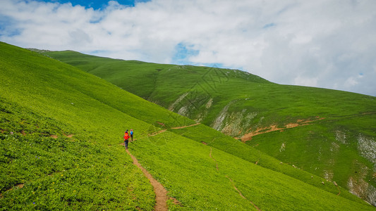 爬坡道草查谟和克什米尔邦Sonamarg美丽的山地景观森林图片