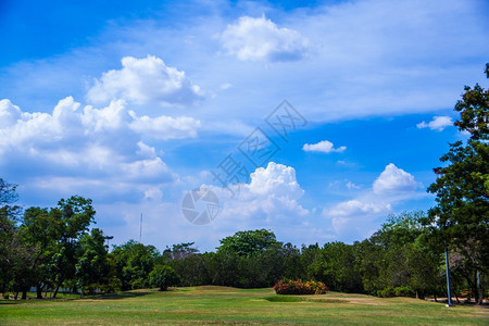 公园和明亮的天空清新绿草地在光明空气中环境夏天自然树高清图片素材