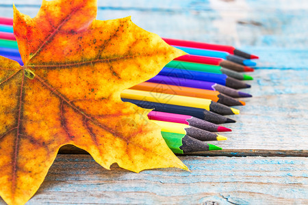 秋天枫叶和彩色铅笔图片
