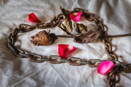 浪漫的华伦人节时静生代名玫瑰木制的花瓶图片