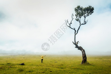 冒险户外独自的在古老森林里旅行妇女感受到大自然的力量在古老森林里图片