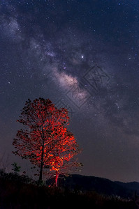天空自然山星系银河和宇宙中的太空灰尘在红树上长速图片