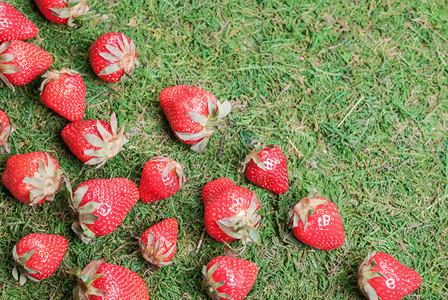 自然成熟收躺在绿草地上的红莓复制空间将新鲜草莓放在绿上图片