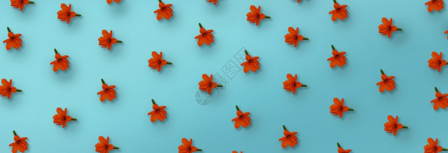 树优雅的丛林蓝底橙色花的背景模式图片