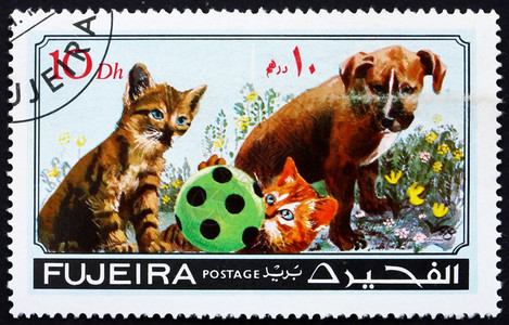 亚洲FUJEIRA大约197年印在Fujeira上的邮票显示狗和猫宠物大约年哺乳动物邮政图片