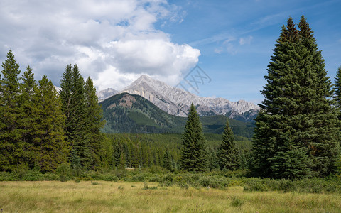 北国民加拿大艾伯塔省班夫公园BowValleyParkway附近的景观旅游图片