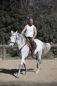秃盛装舞步在沙地上骑白马的穿散装年轻人全套服装图片