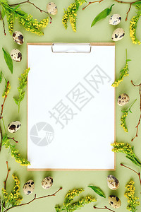 最佳天复活节花框和白色空纸自然树枝黄色花朵鹌鹑蛋绿色背景上的剪贴板记事本MockupCreativeFlatlayTopvie图片