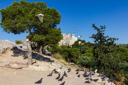希腊雅典2018年6月9日希腊雅典城岩表面有鸽子希腊雅典大都会岩石的风景寺庙区希腊的图片