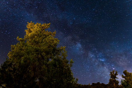 Troodos山脉森林上空的银河系照片夺取塞浦路斯Kakopetria村天文学特罗多斯图片