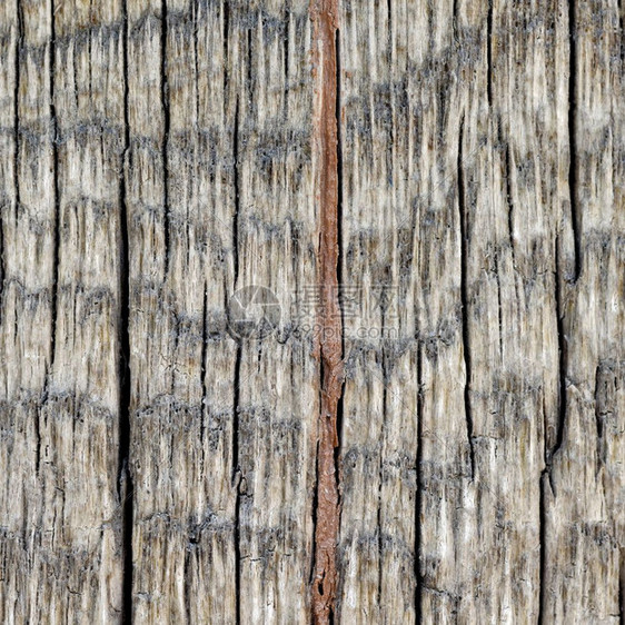 材料背景和纹理粗湿的木制板条纹身外部墙壁或楼层锈制建筑屋顶粗湿的木制板纹身颜色松树图片