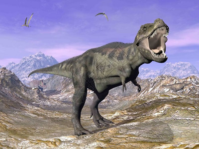 白垩纪颚动物暴龙T雷克斯在自然界的咆哮每天3D变成暴龙T图片