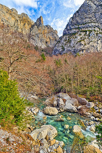 保护徒步旅行者生物多样VeralRiverAnsoValleyVallesOccidentalesNaturalParkJace图片