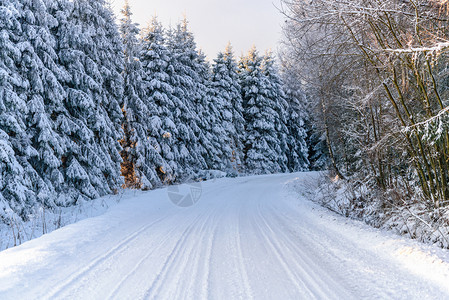团结树自然冬季风景清晨寒冷阳光明媚时雪覆盖森林中的山地道路图片