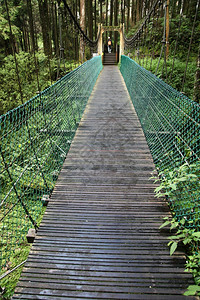 亚洲国民旅行位于泰万的阿利尚森林绿桥图片
