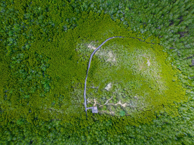 途径海位于泰国普兰布里家公园的红树林空中观察角度图片素材