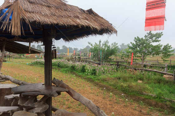 种植园农业泰国乡村的美丽风景泰式亚洲图片