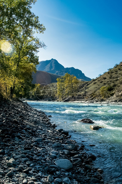多于山区河流过岩石是阿尔泰自然山区河流过岩石自然是阿尔泰溅景观图片