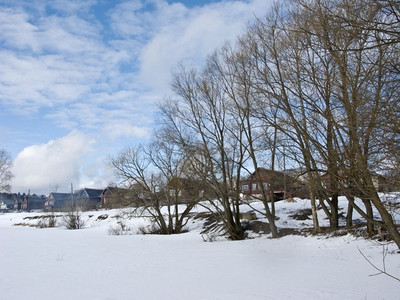 季节树一月寒冷的湖边小村庄在阳光明媚的冬日图片
