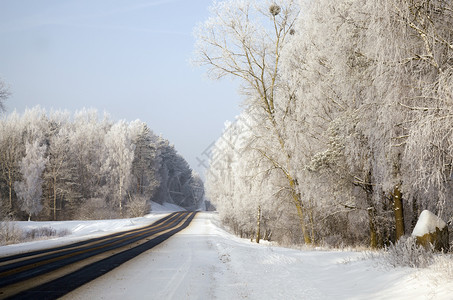 植物白雪皑凉爽的冬季汽车沥青路雾中山地森林冬季乘坐汽车旅行冬季乘坐汽车行驶在荒雾中的山地林图片