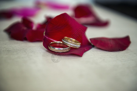 犯罪已婚开花红玫瑰瓣上的婚环红玫瑰花瓣上的婚环图片