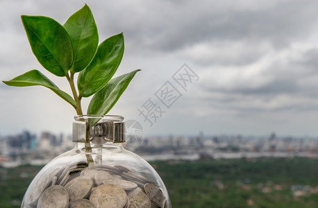 储蓄成功植物在硬币堆上生长的树苗在城市景观背的玻璃瓶中业务增长的象征和省钱的投资理念文本输入空间选择焦点图片