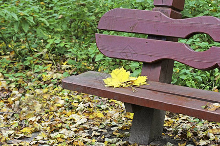 公园长椅上的落叶图片