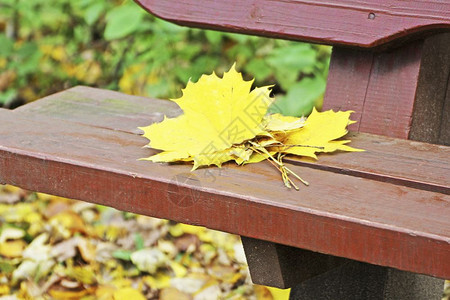 公园长椅上的落叶图片